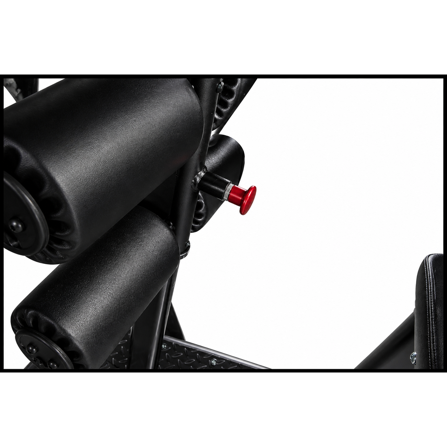 Forte Signature Series Glute Ham Developer- GHD