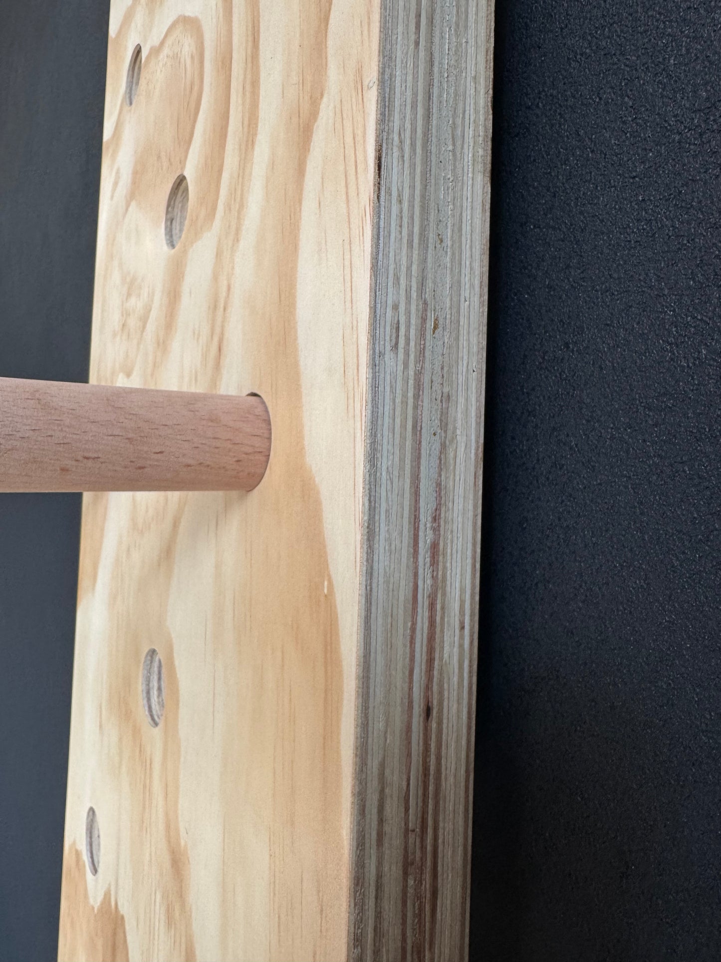 Wall Mounted Peg Board