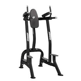 Hoist Vertical Knee Raise- Dip Station