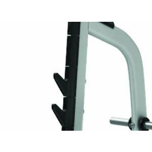 Precor Discovery Series Olympic Incline Bench