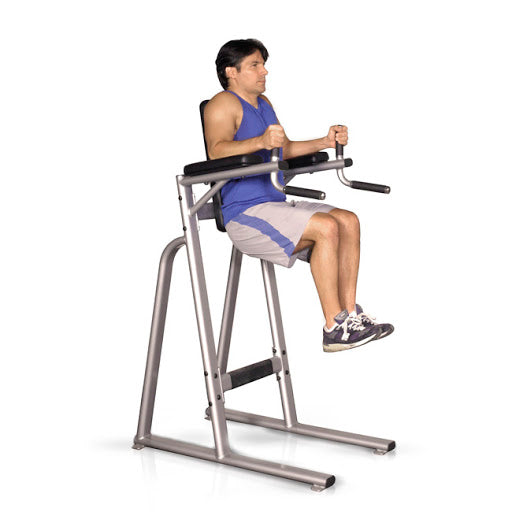 Inflight Fitness Vertical Knee Raise & Dip Station