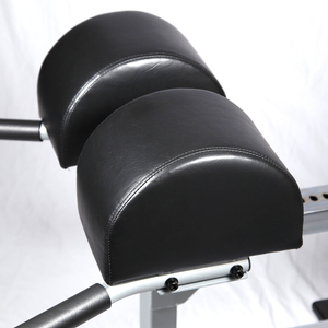 BodySolid Glute Ham Developer (GHD)