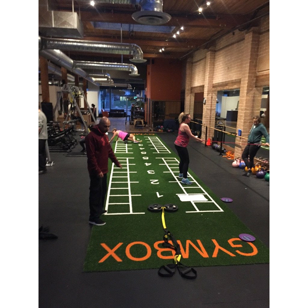 High Performance Trainers Choice Nylon Blend Turf w/5mm backing