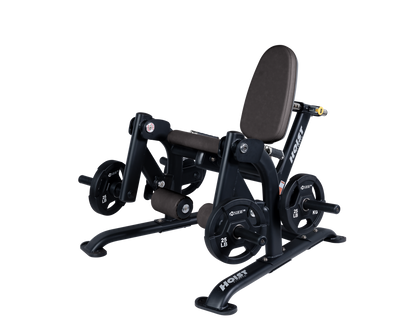 Hoist Leg Extension - Plate Loaded