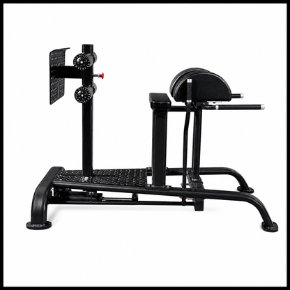 Forte Signature Series Glute Ham Developer- GHD