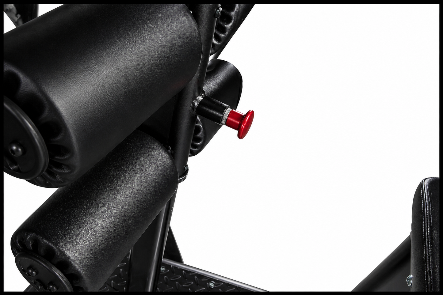 Forte Signature Series Glute Ham Developer- GHD