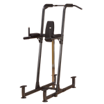 Fusion Commercial Chin Dip Leg Raise Station