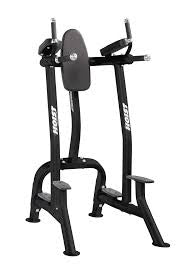 Hoist Vertical Knee Raise- Dip Station