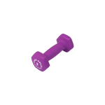 Commercial Aerobic Dumbbells (singles)