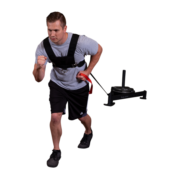Sled Harness
