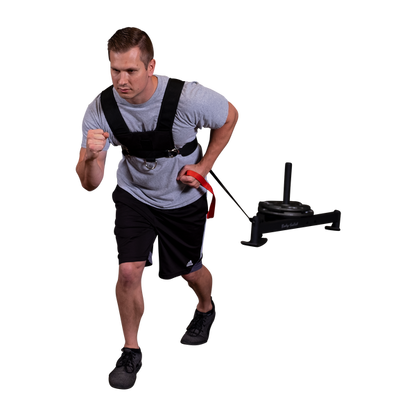 Sled Harness