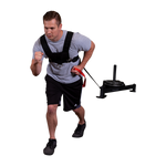 Sled Harness