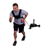 Sled Harness