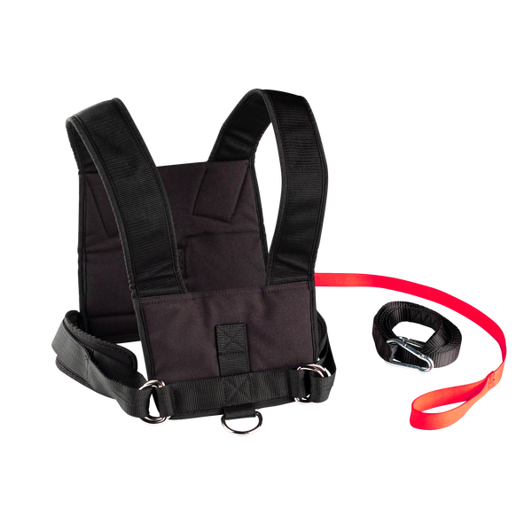 Sled Harness