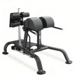 Forte Signature Series Glute Ham Developer- GHD