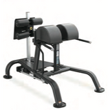 Forte Signature Series Glute Ham Developer- GHD
