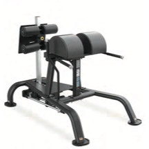 Forte Signature Series Glute Ham Developer- GHD
