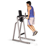 Inflight Fitness Vertical Knee Raise & Dip Station