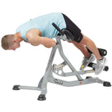 Hoist Ab/Back Roman Hyperextension