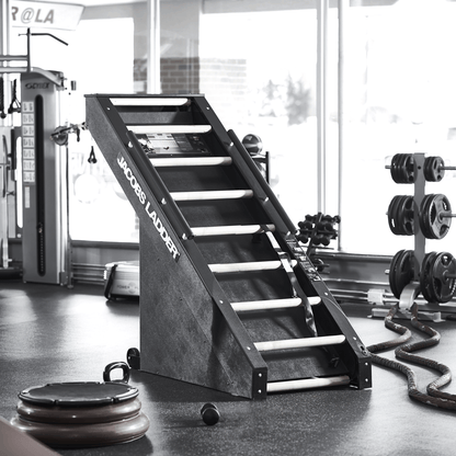 Jacobs Ladder Cardio Machine