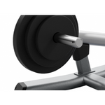 Precor Discovery Series Plate Loaded Line Biceps Curl