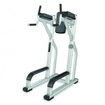 Precor Discovery Series Vertical Knee Up