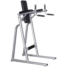 Inflight Fitness Vertical Knee Raise & Dip Station