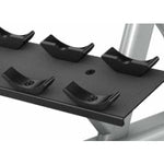 Precor Discovery Series 3 Tier, 15 Pair Dumbbell Rack
